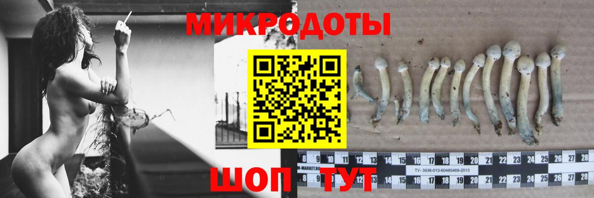 Галлюциногенные грибы Magic Shrooms  Псилоцибиновые грибы Magic Shrooms  Вход с VPN  Обнинск 